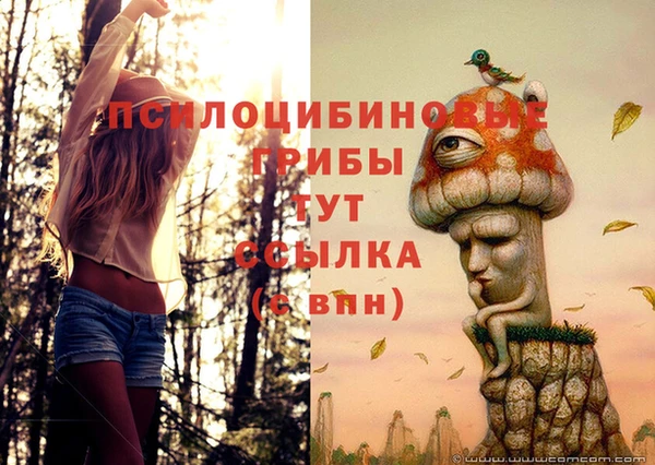 СК Алзамай