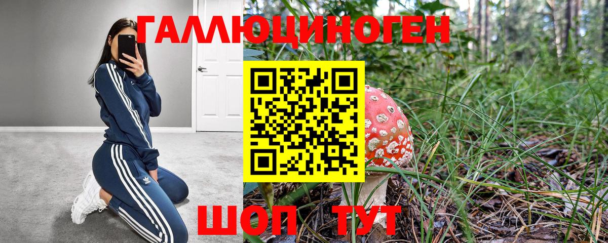 Галлюциногенные грибы GOLDEN TEACHER Канаш